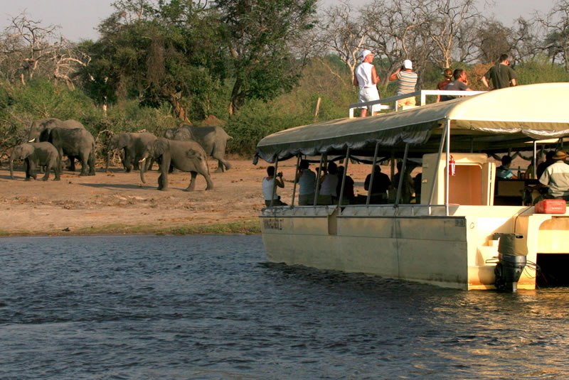 Chobe National Park