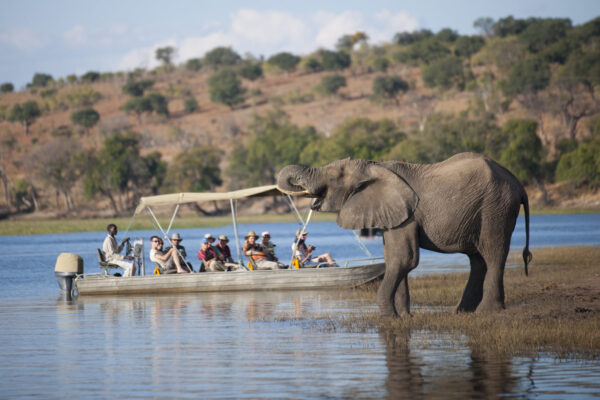 Chobe 2 Day 1 Night Safari - Victoria Falls Tours & Transfers - Victoria Falls | Livingstone & Chobe